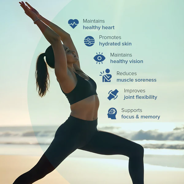 5_a55cc531-fec6-41e6-98cf-0f88b50445df - Copy