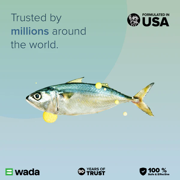 7_86b56416-bd23-4de8-86c5-b9ba34be8052 - Copy